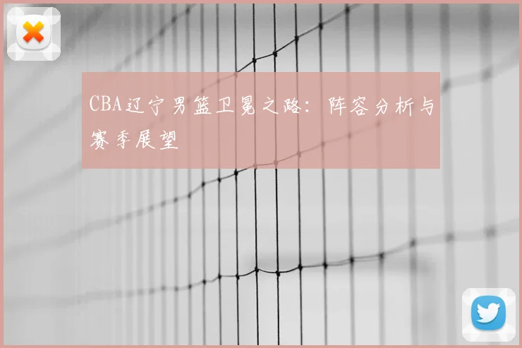 CBA辽宁男篮卫冕之路：阵容分析与赛季展望