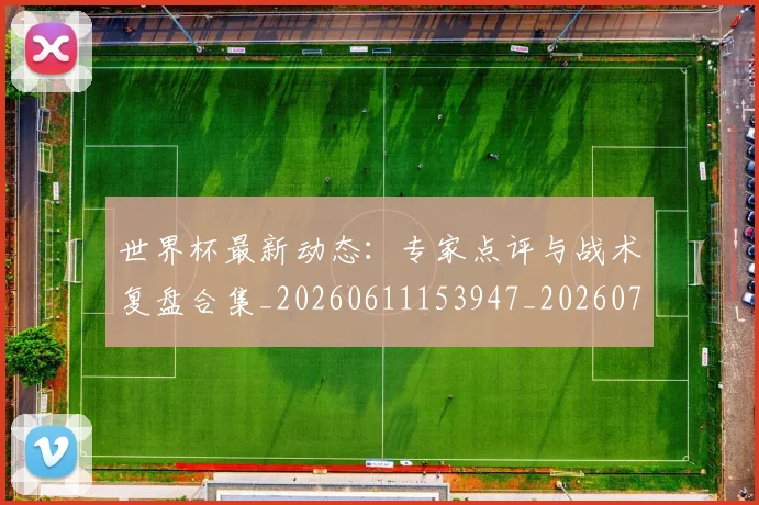世界杯最新动态：专家点评与战术复盘合集_20260611153947_20260702173916